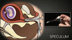 温州疤痕修复哪家医院好(温州调节疤痕疙瘩的医院哪个好)