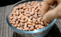 花生轻微发霉洗过再煮能吃吗(花生轻微发霉后煮煮能吃吗)