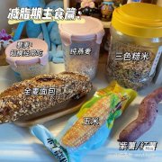 全身抽脂肪20斤多少钱(全身抽脂肪20斤多少钱)
