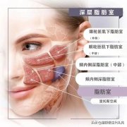 抽脂肪50斤多少钱一次(抽脂肪50斤多少钱一次啊)