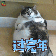 怎么算肥胖率(怎样算肥胖指数)