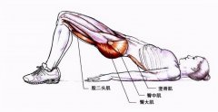 怎么锻炼竖脊肌(锻炼竖脊肌的佳动作)