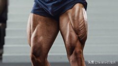 怎么去掉腿上所有肌肉(怎么去掉腿上所有肌肉图片)