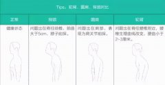 怎么把三角肌前束和胸肌分开(三头肌前束和胸肌连接处怎么练)
