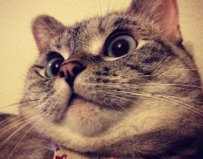 去除双下巴的方法(如何去除双下巴?)