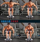 健身房拉力器锻炼方法图解(健身房拉力器锻炼方法图解大全)