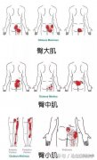 髋外展肌群怎么锻炼(髋外展肌群怎么锻炼视频)