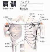 瘦针灸瘦手臂怎么贴(针灸瘦手臂多久有果)