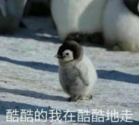 站着瘦腿图解(站着瘦腿方法)