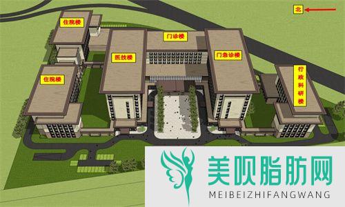 绣眉和纹眉哪个,绣眉和纹眉哪个自然