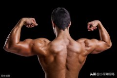 俯身划船怎么背部发力(背阔肌俯身划船)