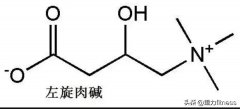 左旋减肥药果怎么样(左旋右减减肥药)