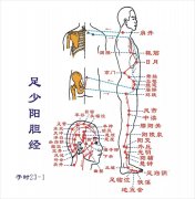 敲胆经瘦腿真实案例(胆经什么时候敲瘦腿)