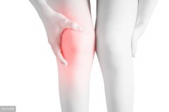 坐姿腿屈伸的使用方法(坐姿腿屈伸的使用方法图片)