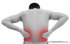 腰肌锻炼方法(腰部的锻炼方法)