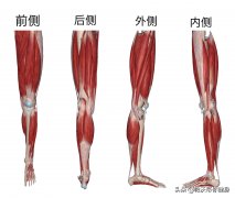 怎么 瘦大腿
