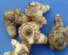 吃什么中药减肥快简单配方法(用什么中药可以减肥减肥的快)