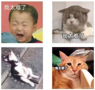 什么减肥方法有用(有什么方法减肥果好)