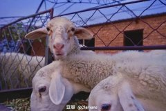 在炕上就能瘦腿的方法(躺在被窝里怎么瘦腿)