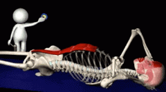 杠铃腹斜肌锻炼方法(杠铃练斜方肌动作)