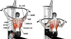 后臂肌肉怎么练(大臂后侧肌肉怎么练)