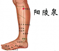 瘦针灸瘦手臂怎么贴(针灸瘦手臂多久有果)