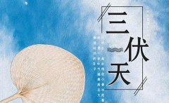 白醋和生姜怎么用减肥(醋和生姜能减肥吗)