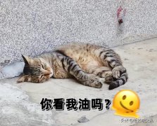 脸颊肉多怎么瘦(脸颊肉多怎么瘦快)