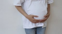 高蛋白脂肪偏高是怎么回事(高蛋白脂蛋白偏高)