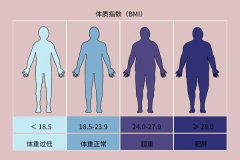 体型标准计算方法(体型标准计算方法有哪些)