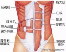 瑜伽球腰部锻炼方法(瑜伽球锻炼腰椎)