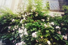 145斤怎么减(145斤怎么减肥好)