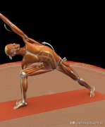 侧腹部怎么练(怎么练侧腹好的方法)