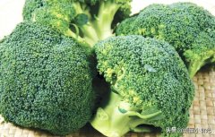 吃什么瘦腿快(吃什么瘦腿快有)