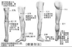 瘦腿精油学生能用吗(精油真的可以瘦小腿吗)