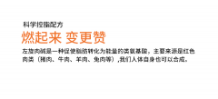 左旋肉碱果怎么样(仁和减肥药左旋肉碱果怎么样)