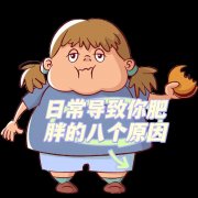 肥胖的原因及减肥方法(想知道肥胖的原因用什么方法)