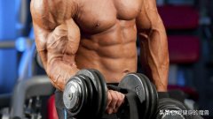 怎么使手臂粗(怎么样才能让手臂粗)