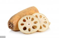 减肥应该怎么吃(减肥应该怎么吃碳水)