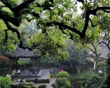 跳绳瘦腿吗(跳绳瘦腿吗女生)