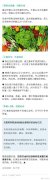 减肥的基本原则和方法(减肥的主要方法)