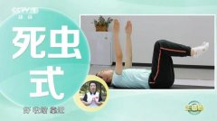 肚子胖怎么办(哪都不胖就腰和肚子胖怎么办)