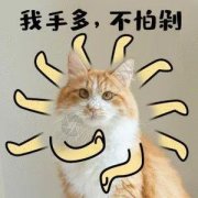 瘦腿袜 真的瘦了