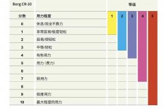 后臂肌肉怎么练(怎么锻炼后臂)