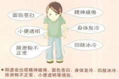 个胖子9个虚 虚胖怎么减肥