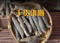 蝴蝶机怎么反向(蝴蝶机 反向)