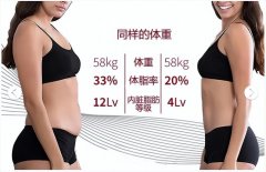 快减肥脚和肚腩方法(减肥瘦腿和肚子的方法)