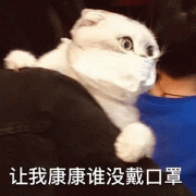 瘦腿计划表格(瘦小腿训练计划)