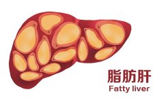 运动减肥怎么还重了(运动减肥更重了)