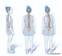 肩膀很宽怎么办(肩膀很宽怎么办男生)